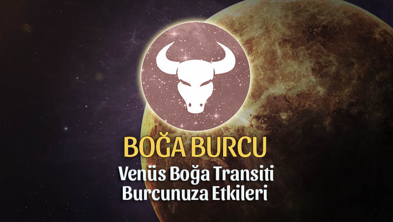 Boğa Burcu Venüs Boğa Transiti Etkileri