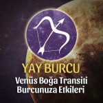 Yay Burcu Venüs Boğa Transiti Etkileri