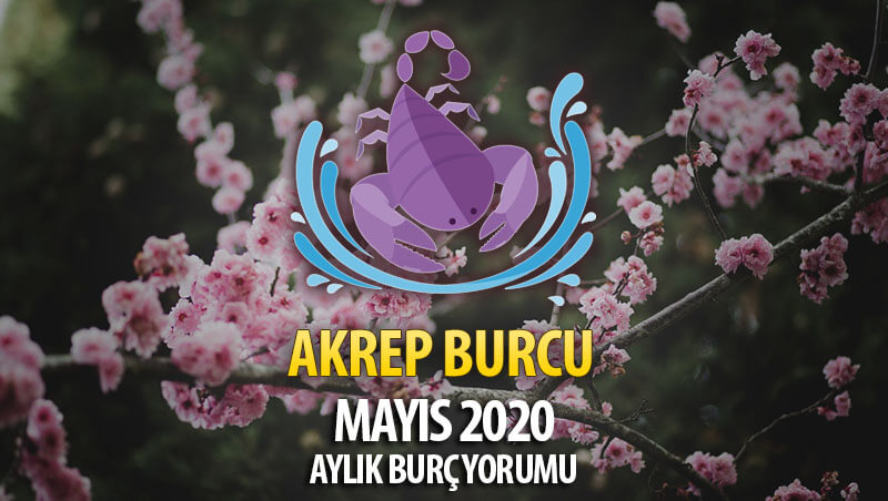 Akrep Burcu Mayıs 2020 Yorumu