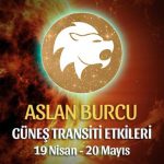 Aslan Burcu Güneş Transiti Etkileri