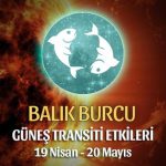 Balık Burcu Güneş Transiti Etkileri