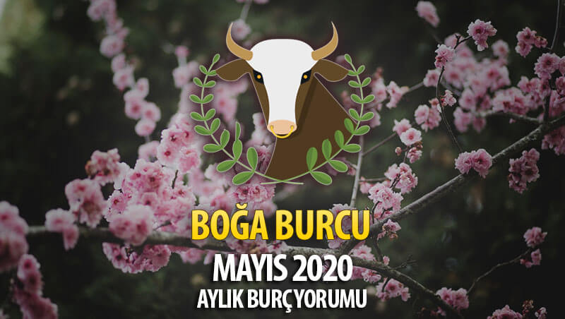 Boğa Burcu Mayıs 2020 Yorumu