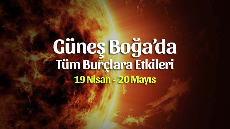 Güneş Boğa Transiti Burçlara Etkileri 19 Nisan – 20 Mayıs