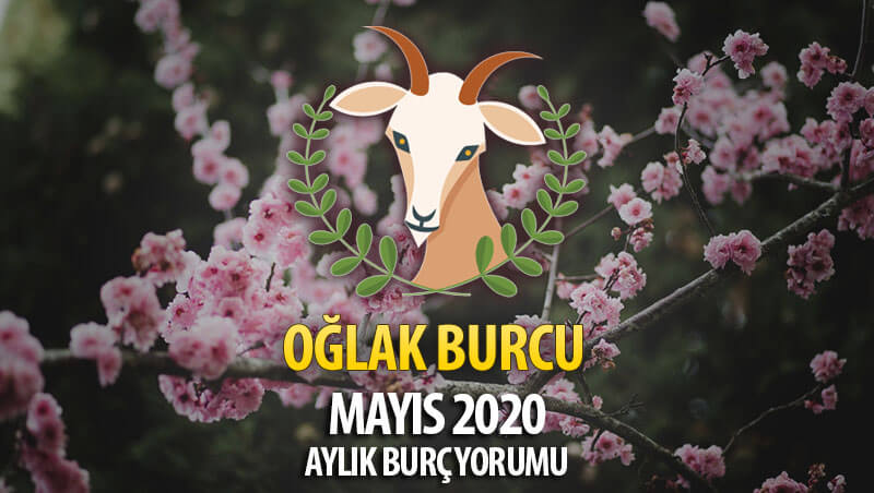 Oğlak Burcu Mayıs 2020 Yorumu