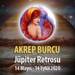 Akrep Burcu Jüpiter Retrosu Etkileri
