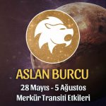 Aslan Burcu 28 Mayıs 2020 Merkür Transiti Etkileri