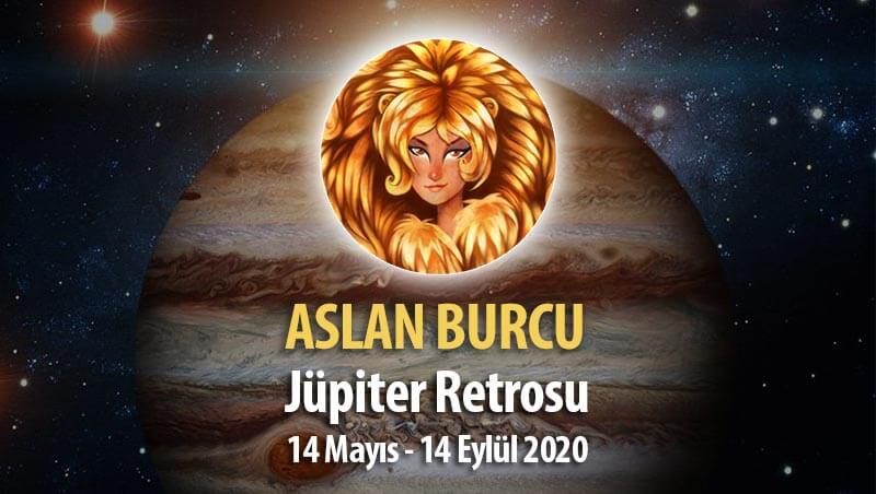 Aslan Burcu Jüpiter Retrosu Etkileri