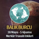 Balık Burcu 28 Mayıs 2020 Merkür Transiti Etkileri