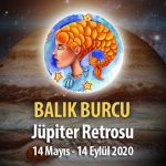 Balık Burcu Jüpiter Retrosu Etkileri