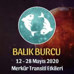Balık Burcu Merkür Transiti Etkileri 12 - 28 Mayıs 2020
