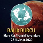 Balık Burcu Mars Transiti Burç Yorumları