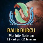 Balık Burcu Merkür Retrosu Etkileri 18 Haziran - 12 Temmuz