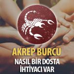 Akrep Burcunun Nasıl Bir Dosta İhtiyacı Var