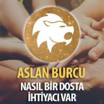 Aslan Burcunun Nasıl Bir Dosta İhtiyacı Var