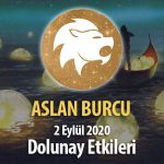 Aslan Burcunda Dolunay Etkileri - 2 Eylül 2020