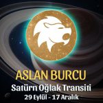 Aslan Burcu Satürn Transiti Yorumları