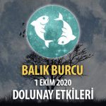 Balık Burcu 1 Ekim 2020 Dolunay Burç Yorumları