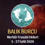 Balık Burcu Merkür Transiti Yorumları