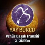 Yay Burcu Venüs Transiti Burç Yorumları