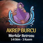 Akrep Burcu - Merkür Retrosu Burç Yorumları