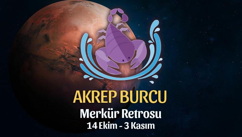 Akrep Burcu - Merkür Retrosu Burç Yorumları