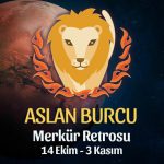 Aslan Burcu - Merkür Retrosu Burç Yorumları