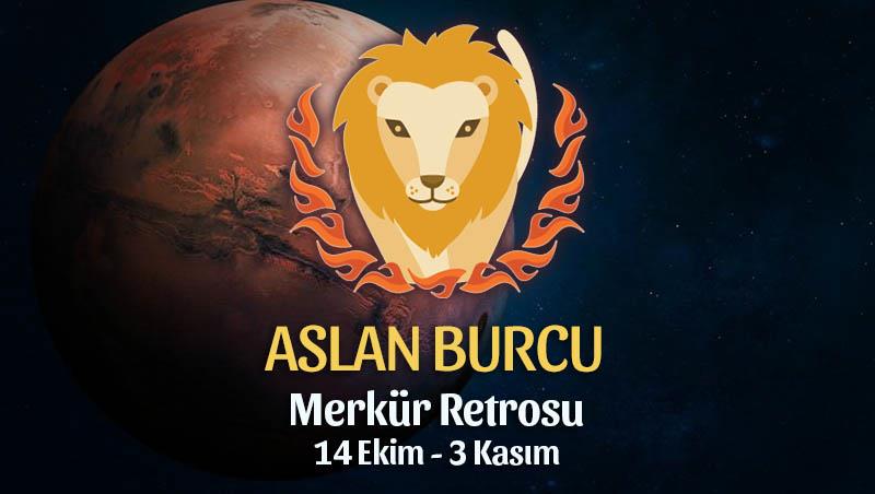 Aslan Burcu - Merkür Retrosu Burç Yorumları