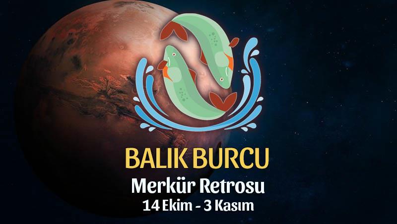 Balık Burcu - Merkür Retrosu Burç Yorumları