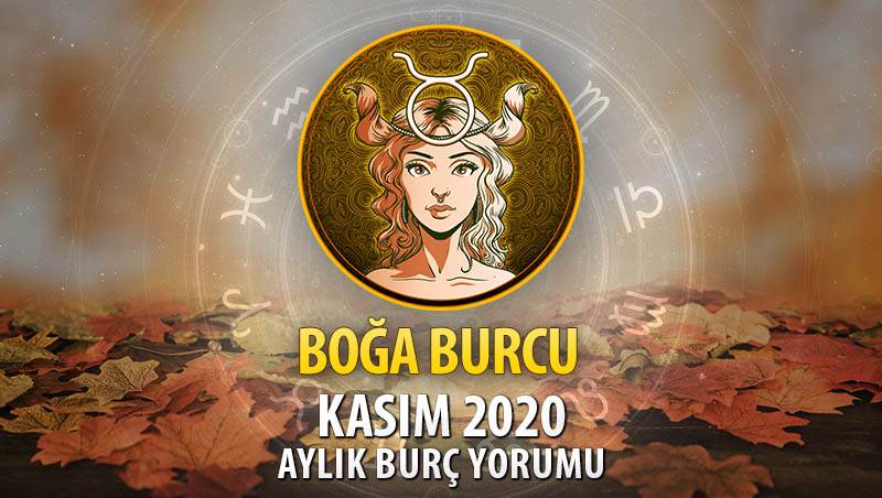 Boğa Burcu Kasım 2020 Yorumu