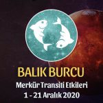 Balık Burcu Merkür Transiti Yorumları - 1 Aralık 2020