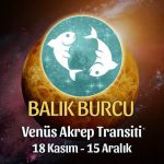 Balık Burcu Venüs Akrep Transiti Yorumları