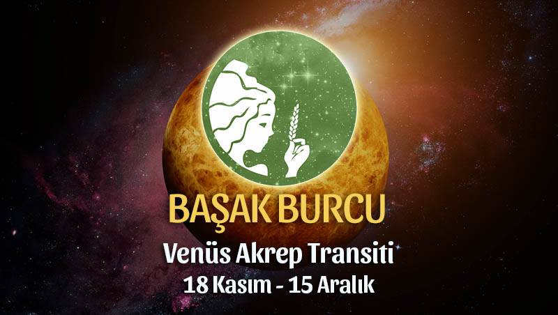 Başak Burcu Venüs Akrep Transiti Yorumları