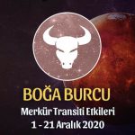 Boğa Burcu Merkür Transiti Yorumları - 1 Aralık 2020