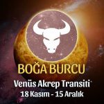 Boğa Burcu Venüs Akrep Transiti Yorumları