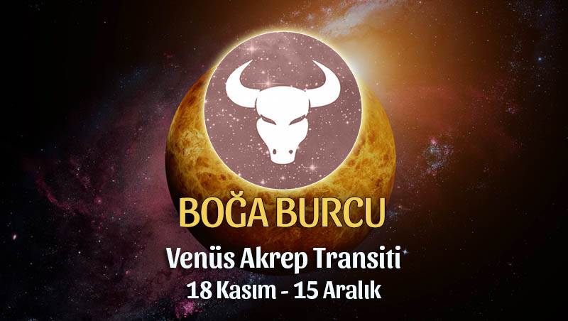 Boğa Burcu Venüs Akrep Transiti Yorumları