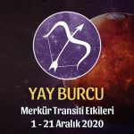 Yay Burcu Merkür Transiti Yorumları - 1 Aralık 2020