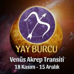 Yay Burcu Venüs Akrep Transiti Yorumları