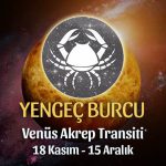 Yengeç Burcu Venüs Akrep Transiti Yorumları