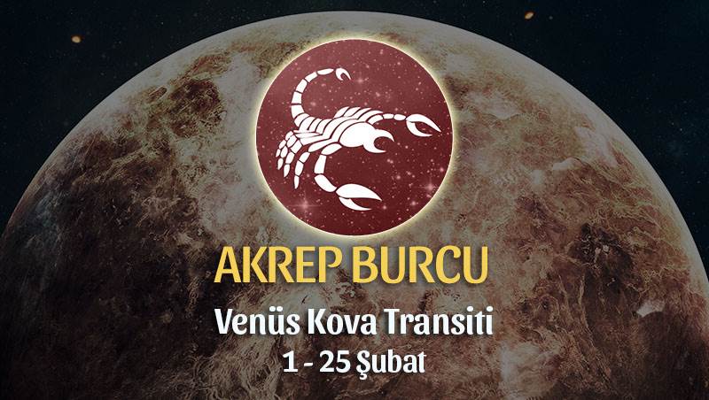 Akrep Burcu - Venüs Kova Transiti Yorumları