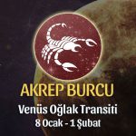 Akrep Burcu - Venüs Oğlak Transiti Burç Yorumu