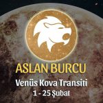 Aslan Burcu - Venüs Kova Transiti Yorumları