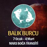 Balık Burcu - Mars Boğa Transiti Yorumu