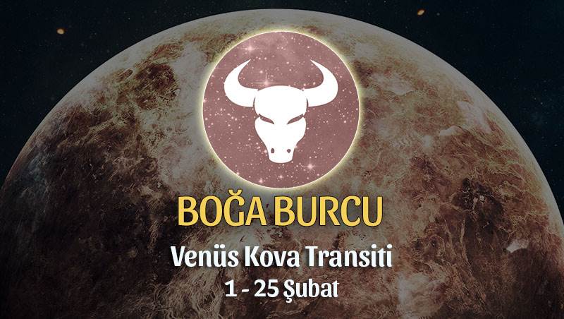 Boğa Burcu - Venüs Kova Transiti Yorumları