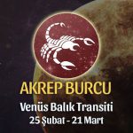 Akrep Burcu - Venüs Balık Transiti Yorumları