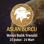 Aslan Burcu - Venüs Balık Transiti Yorumları