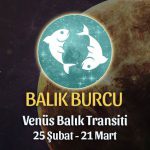 Balık Burcu - Venüs Balık Transiti Yorumları