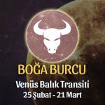 Boğa Burcu - Venüs Balık Transiti Yorumları