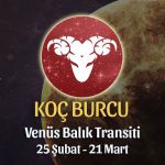 Koç Burcu - Venüs Balık Transiti Yorumları