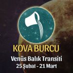 Kova Burcu - Venüs Balık Transiti Yorumları