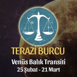 Terazi Burcu - Venüs Balık Transiti Yorumları